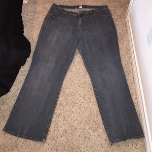 Lane Bryant Venezia Jeans