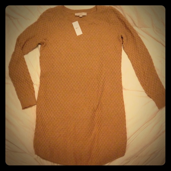 LOFT sweater dress/tunic