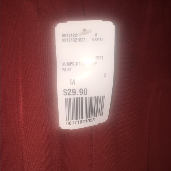 Rust color  jumpsuit - Picture 3 of 3