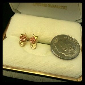 12K Black hills gold - small rose earrings