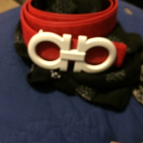 ferragammo belt