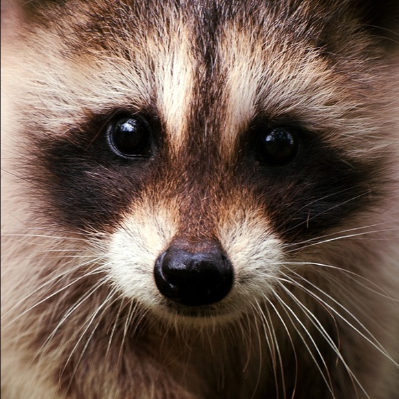 Meet your Posher, Aliaksandra