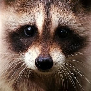 Meet your Posher, Aliaksandra