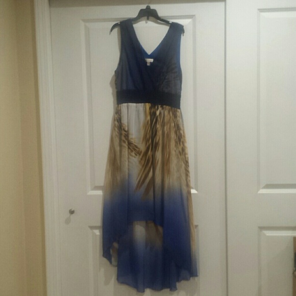 Monroe & Main Blue Cheetah Print Dress Sz 14