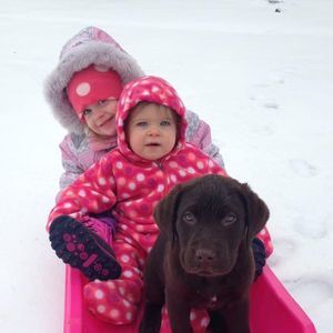 Meet your Posher, Carley