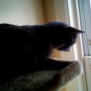 Meet your Posher, Debra