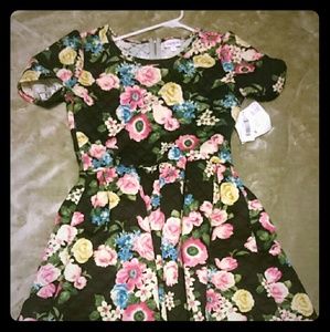 Lularoe amelia small