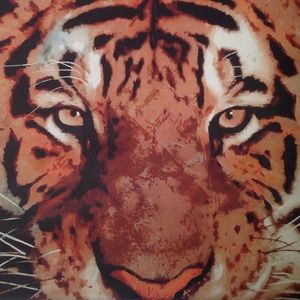 Meet your Posher, Lacey