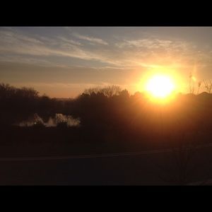 Meet your Posher, Betty