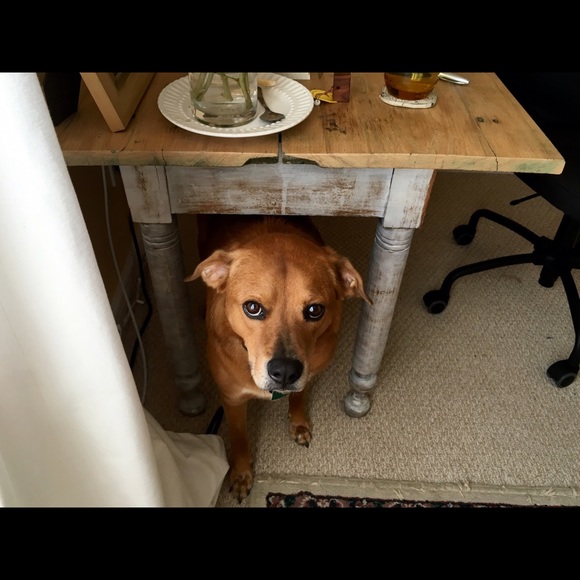 Meet your Posher, David - Picture 1 of 1