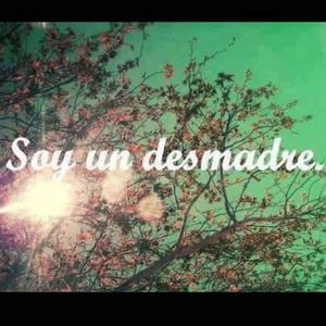 Meet your Posher, China