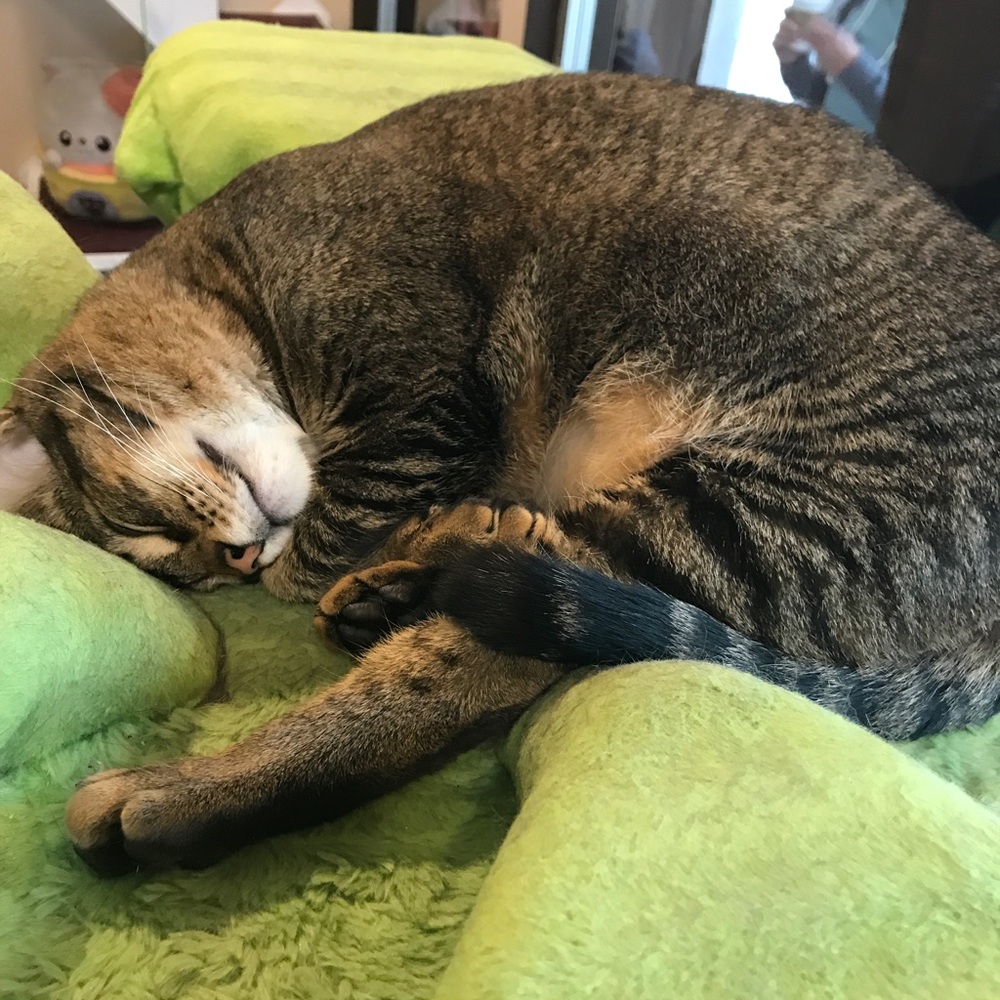 Meet your Posher, Kasumi