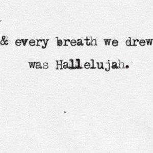 Meet your Posher, Sandy