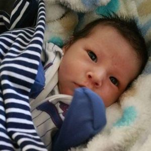 Meet your Posher, Roberta