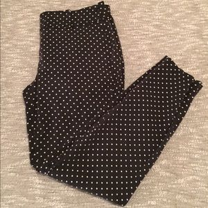 Ann Taylor Polka Dot Dress Pant