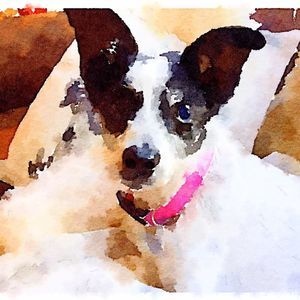 Meet your Posher, Luciana