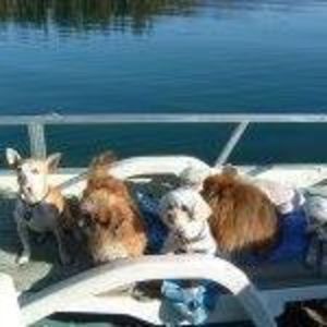 Meet your Posher, Barb