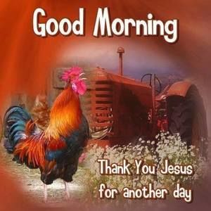 Meet your Posher, Patty