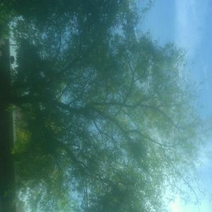 Meet your Posher, Corbie