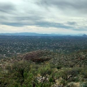 Meet your Posher, Orlando