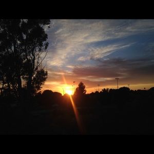 Meet your Posher, Alessa