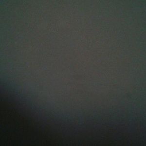 Meet your Posher, Lynn