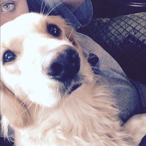 Meet your Posher, Rachel