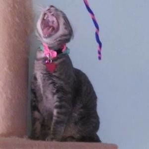 Meet your Posher, Jolena