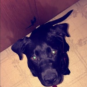 Meet your Posher, Lizbeth