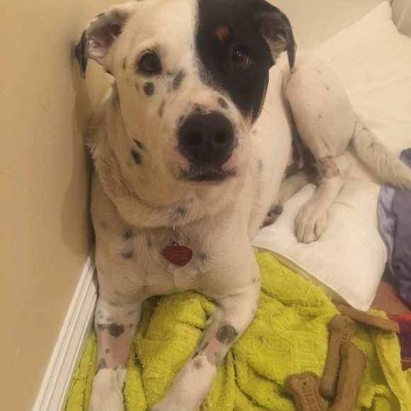 Meet your Posher, Carole - Picture 2 of 4