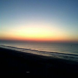 Meet your Posher, Georgina