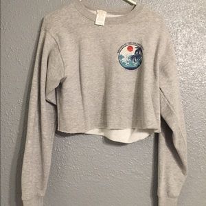 Rare brandy crop sweater