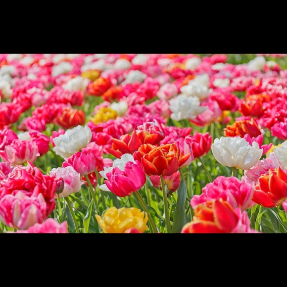 I WILL BE ON SPRING BREAK STARTING SATURDAY!!!