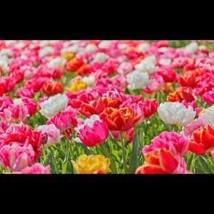 I WILL BE ON SPRING BREAK STARTING SATURDAY!!!