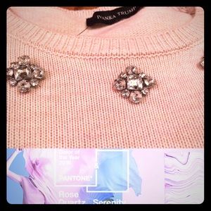 NWT Rose Quartz embellished sweater