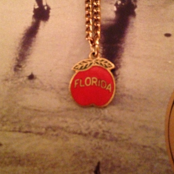 Florida Orange necklace - Picture 1 of 2