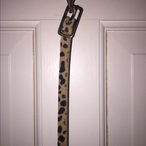 J.Crew Faux Cheetah Hair Belt Size Medium