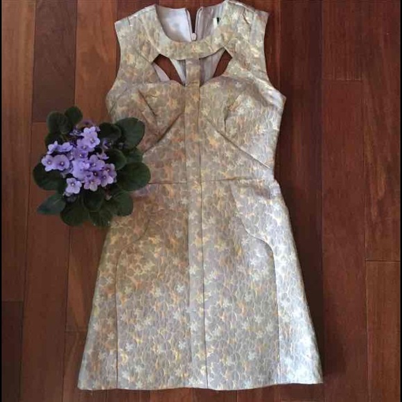 Gorgeous TopShop dress