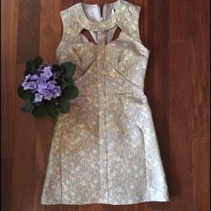 Gorgeous TopShop dress