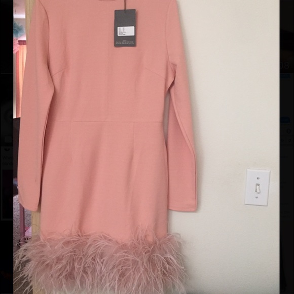 Misguided blush ostrich trim dress