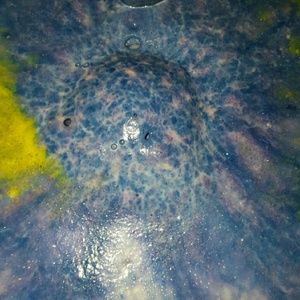 Mystery LUSH BUNDLE for jenny heaton ONLY