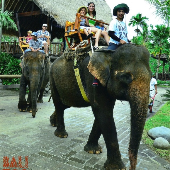 Welcome! I'm Kristen 💁🏻‍♀️ - Picture 9 of 16