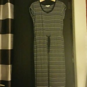 Olive and Oak high low dress