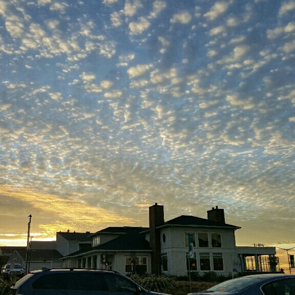 @awepickles - Picture 2 of 3