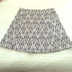 Zara Skirt