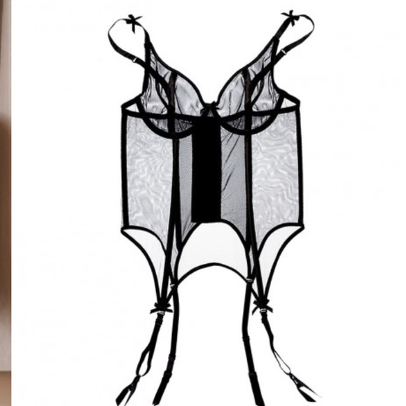 AdoreMe boned bustier and panty set