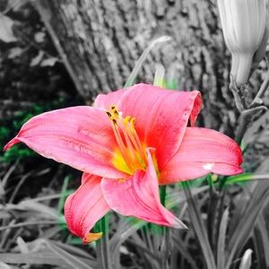 Meet your Posher, Mackenzie