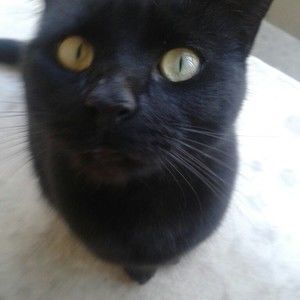 Meet your Posher, Brandy