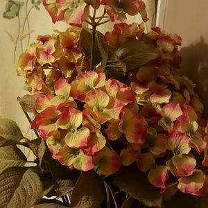 Meet your Posher, Adila