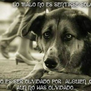 Meet your Posher, Juanita